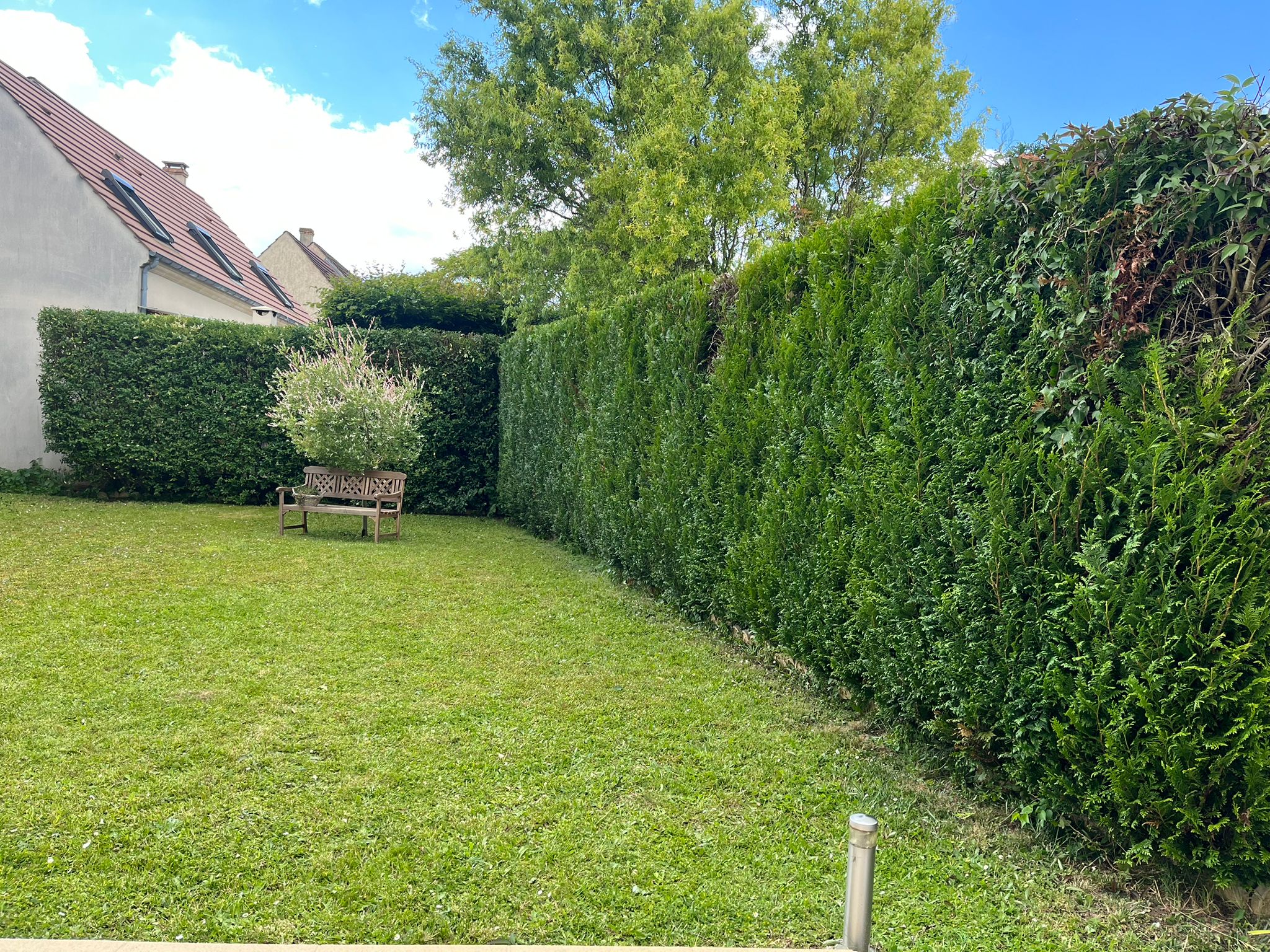 taille de haie - Photo 2